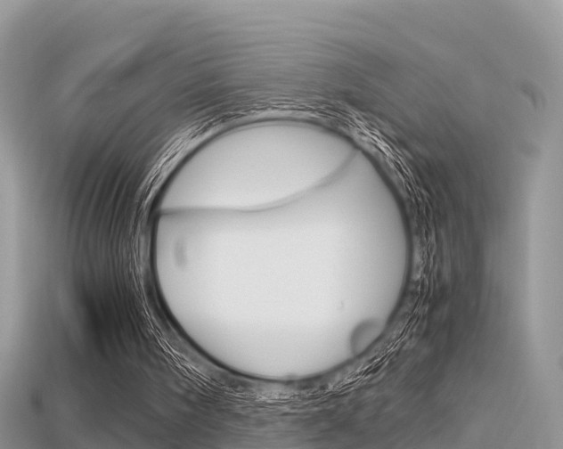 X0000115680098200911120955