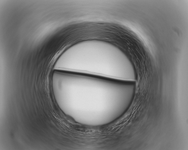 X0000115680099200911120955