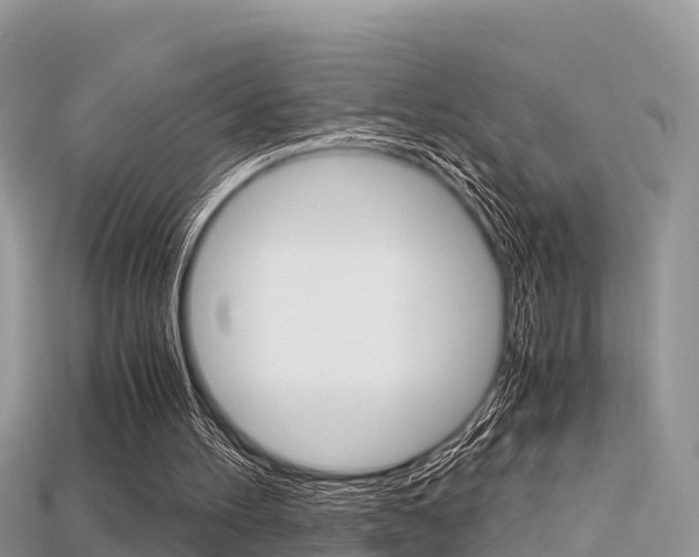 X0000115680100200911120955