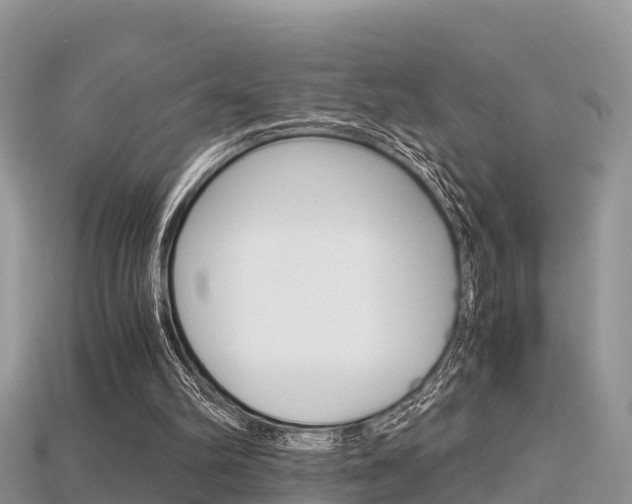X0000115680102200911120955