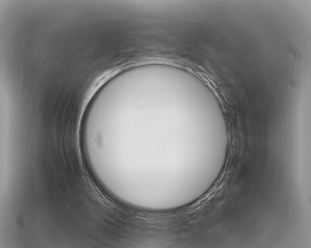 X0000115680104200911120955