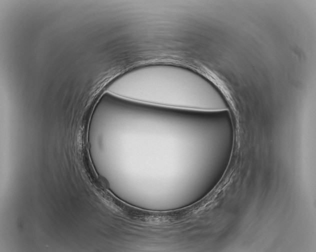 X0000115680105200911120955
