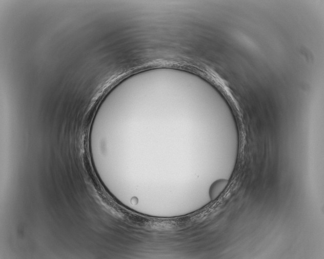 X0000115680106200911120955