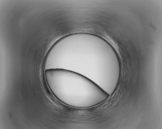 X0000115680107200911120955