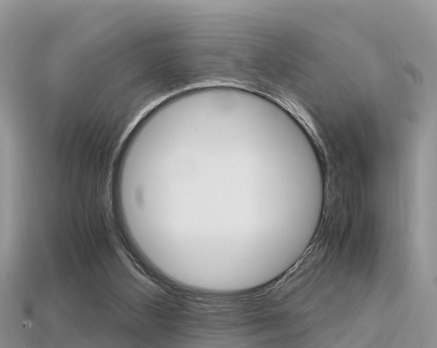 X0000115680108200911120955