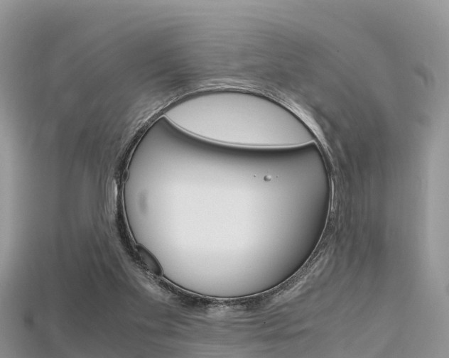 X0000115680109200911120955