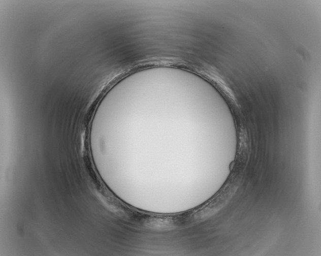X0000115680110200911120955