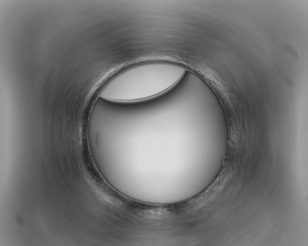 X0000115680112200911120955