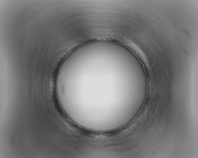 X0000115680113200911120955