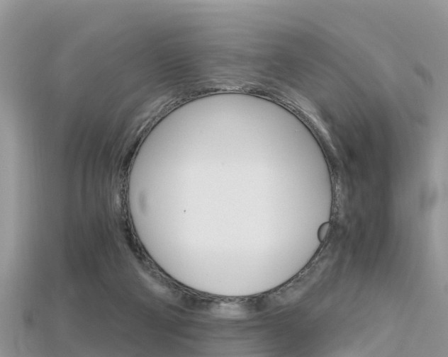 X0000115680114200911120955