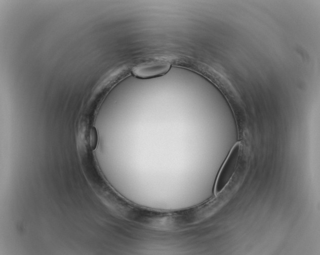 X0000115680116200911120955