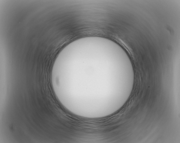 X0000115680117200911120955