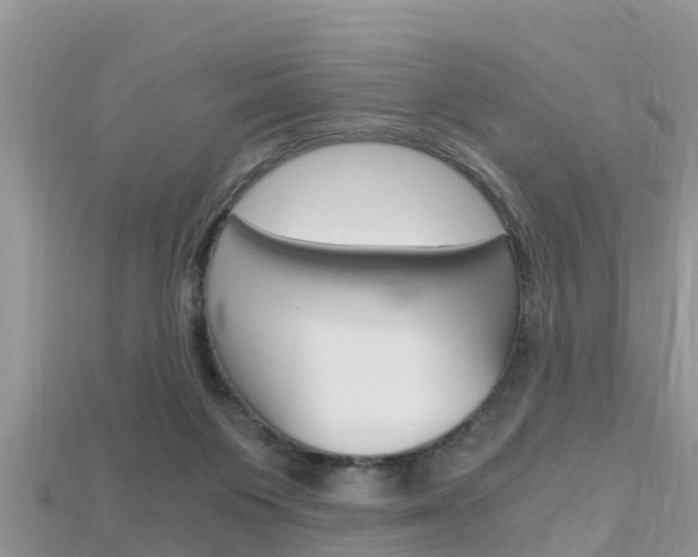 X0000115680119200911120955