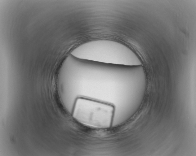 X0000115680121200911120955