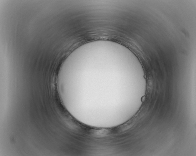 X0000115680122200911120955
