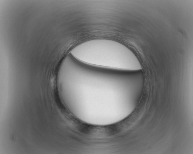 X0000115680123200911120955