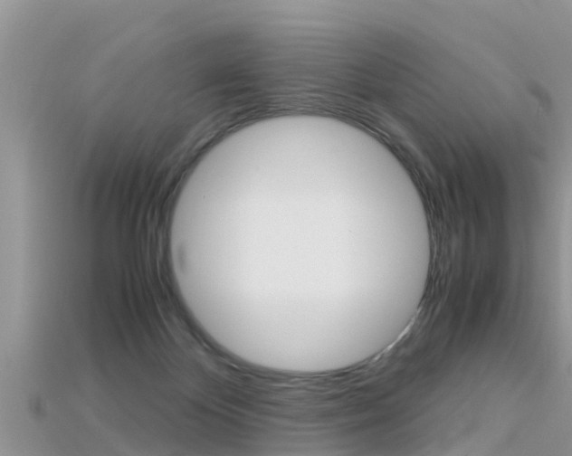 X0000115680124200911120955