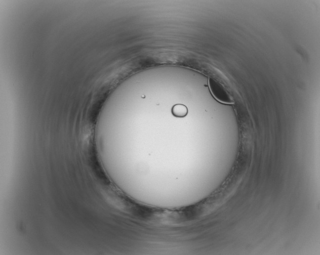 X0000115680125200911120955