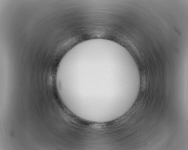 X0000115680126200911120954