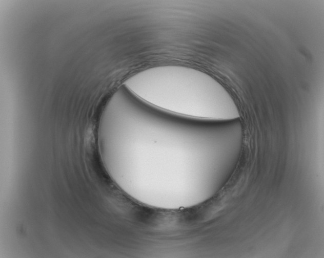 X0000115680127200911120954