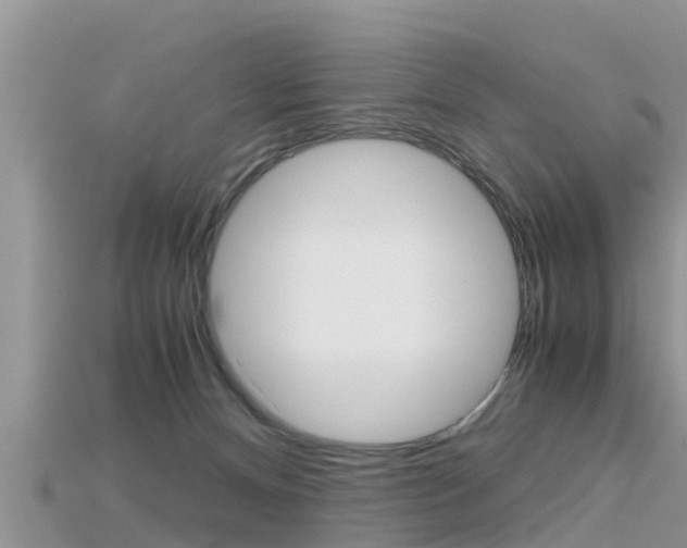 X0000115680128200911120954