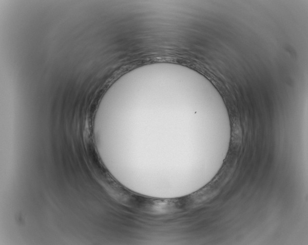 X0000115680130200911120954