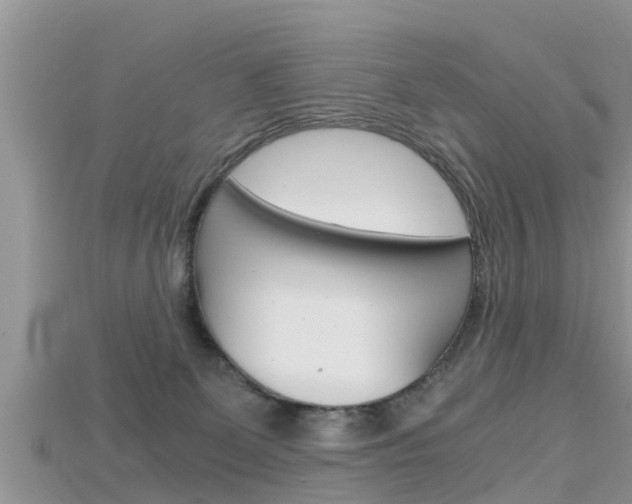 X0000115680131200911120954