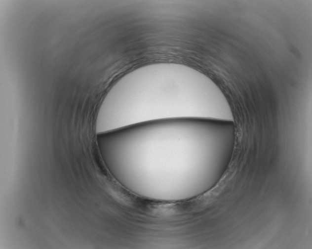 X0000115680132200911120954