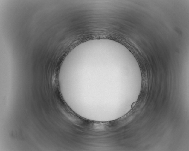 X0000115680134200911120954
