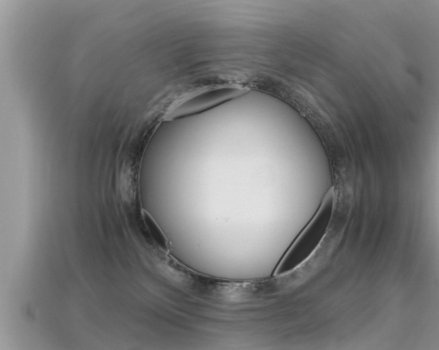 X0000115680136200911120954