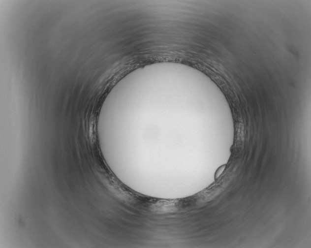 X0000115680138200911120954