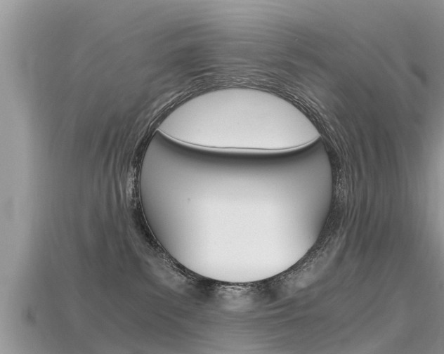 X0000115680139200911120954