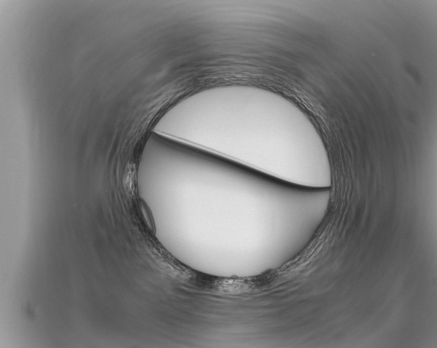X0000115680141200911120954