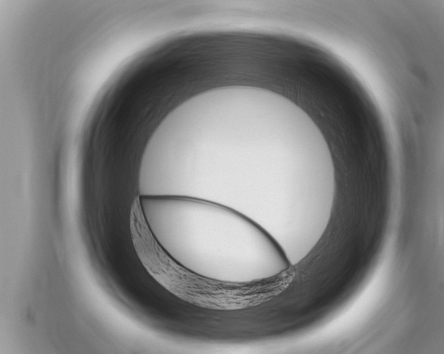 X0000115680143200911120954