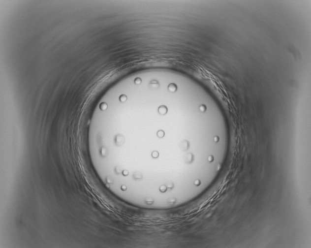 X0000115680145200911120954
