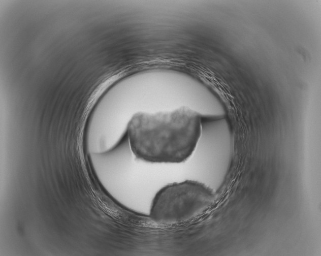X0000115680147200911120954