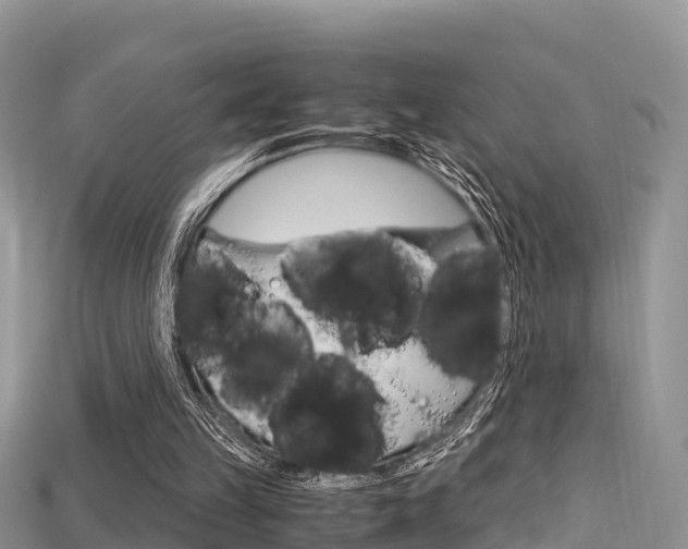 X0000115680149200911120954