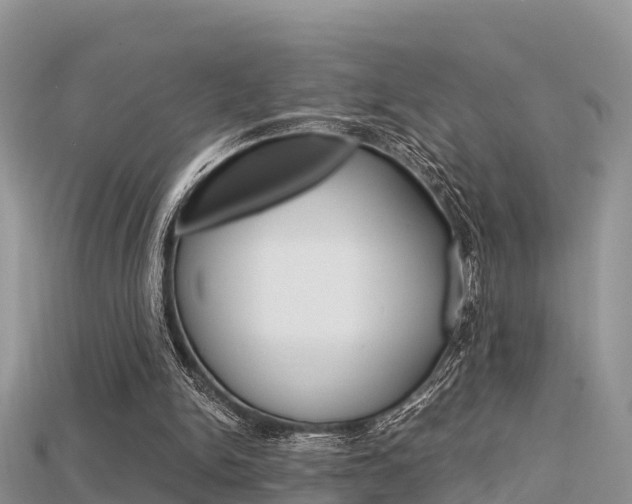 X0000115680150200911120954