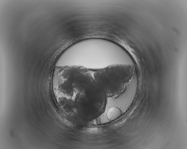 X0000115680153200911120954
