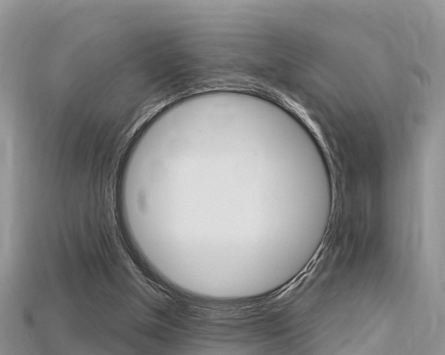 X0000115680154200911120954