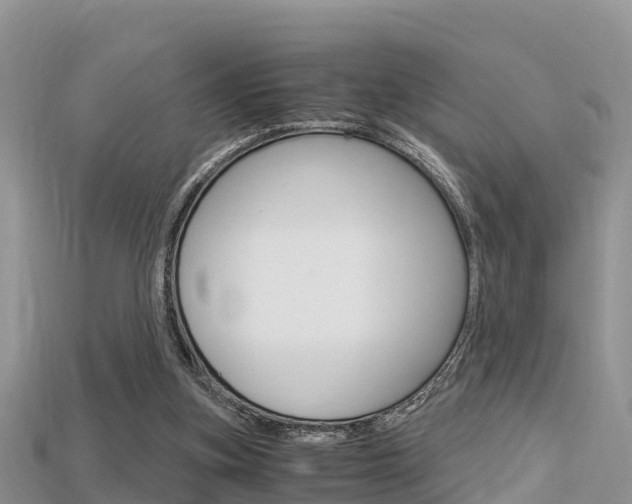 X0000115680155200911120954