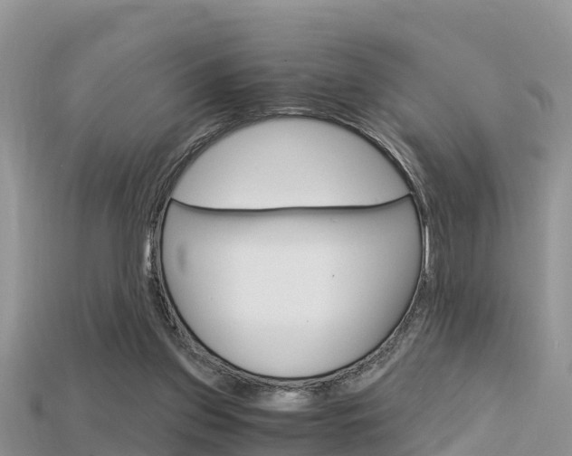 X0000115680157200911120954