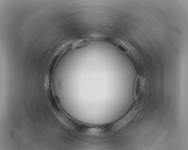 X0000115680158200911120954