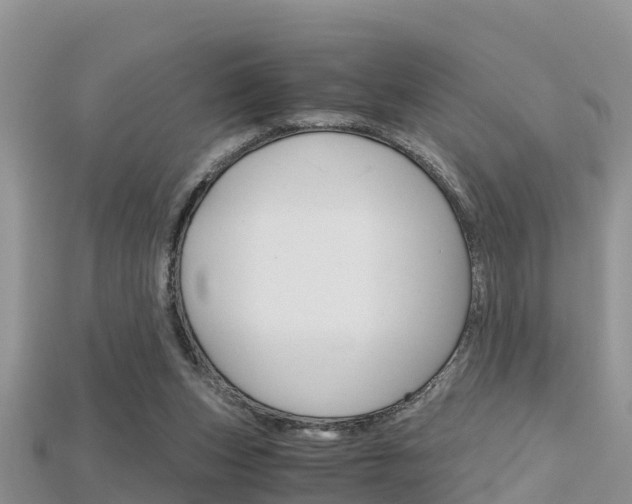 X0000115680159200911120954