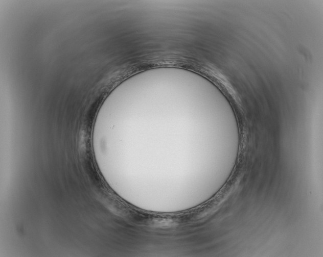 X0000115680161200911120954