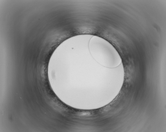X0000115680162200911120954