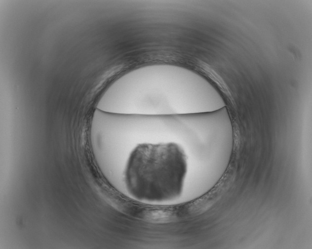 X0000115680163200911120954