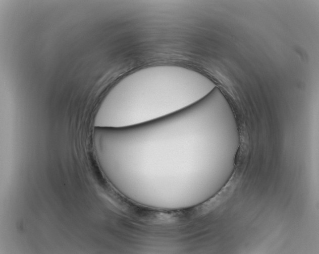 X0000115680166200911120954