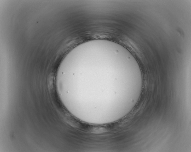 X0000115680169200911120954