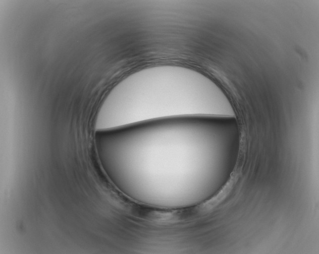 X0000115680170200911120954